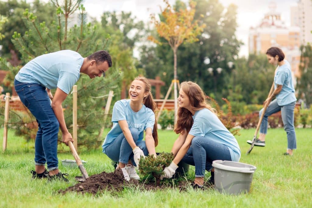 A group of happy young adults volunteering by planting trees in a park